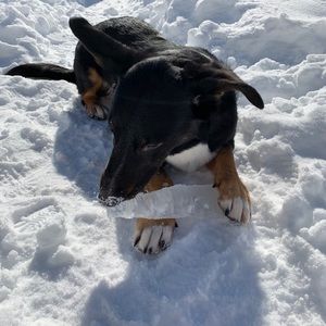 Meet your Posher, Mariah